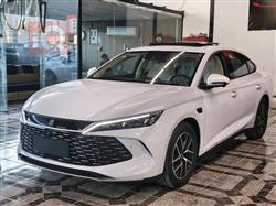 بي واي دي كوين L DM-i